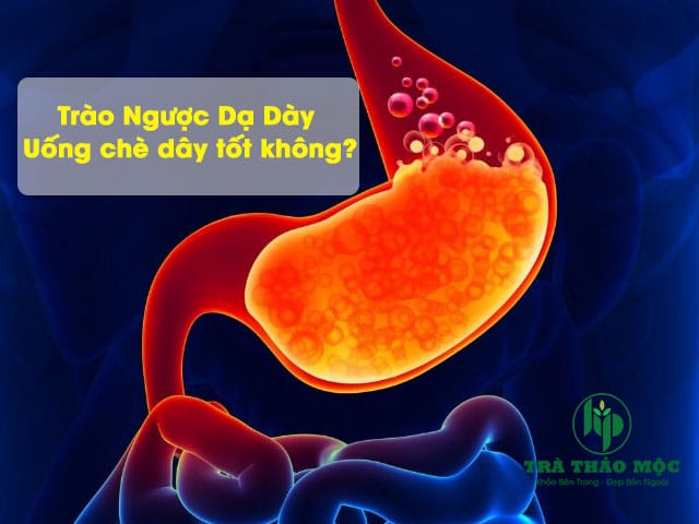 che day chua trao nguoc da day