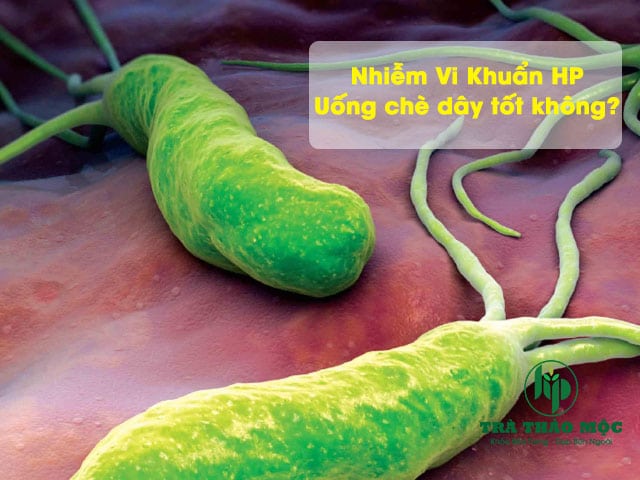 che day diet vi khuan hp duoc khong